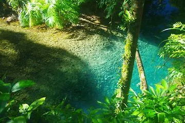 Heritage Lodge - In The Daintree