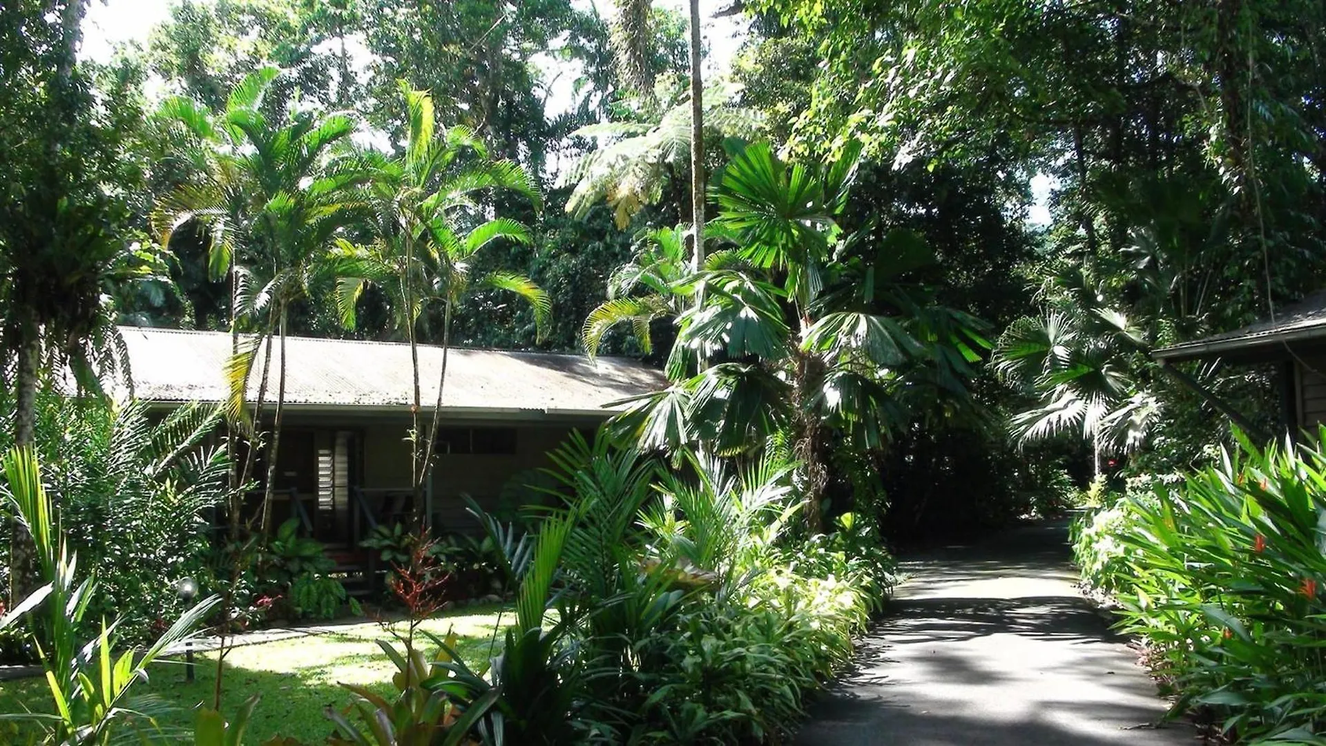 Heritage Lodge - In The Daintree Avustralya
