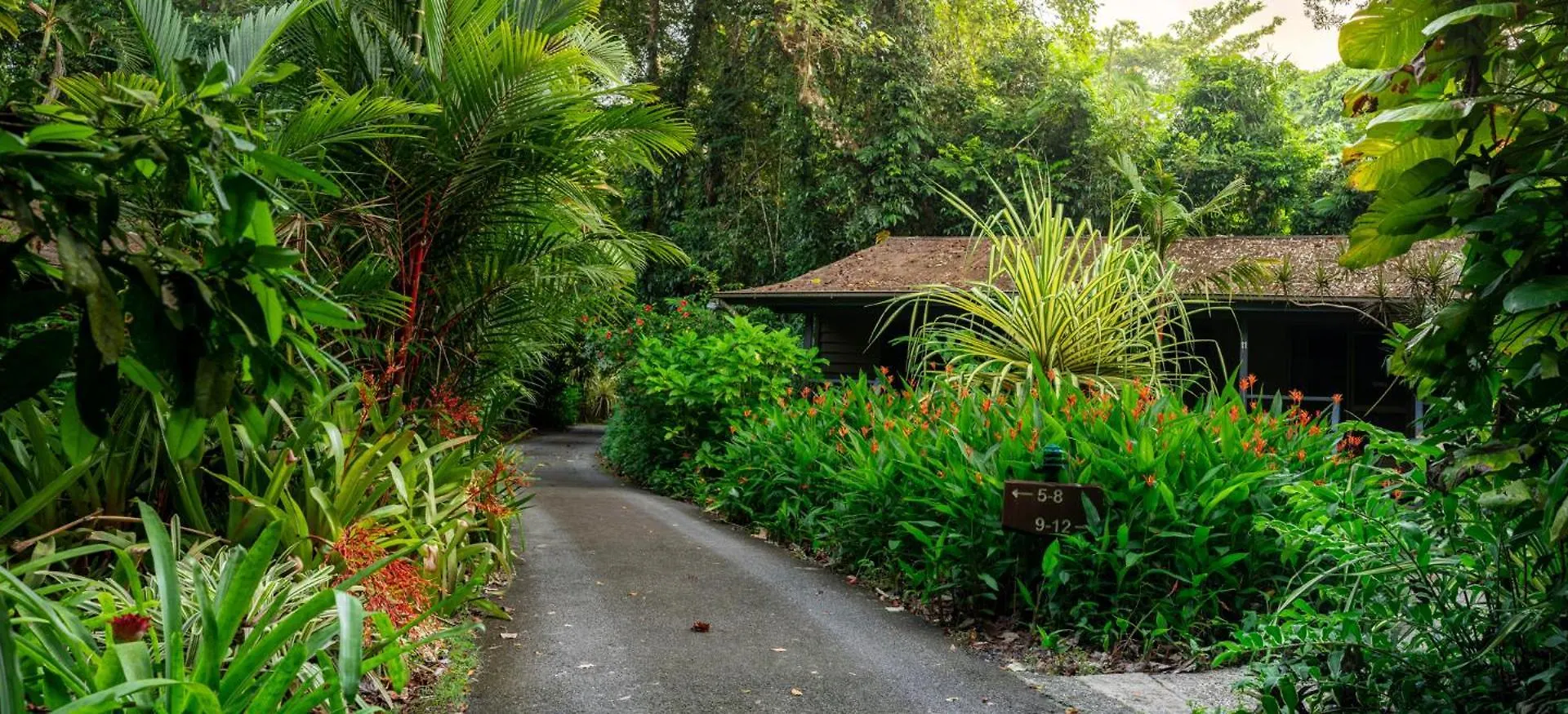 Heritage Lodge - In The Daintree 0*,