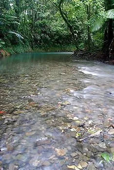 Heritage Lodge - In The Daintree