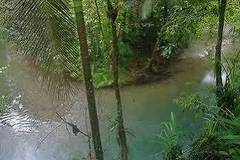 Heritage Lodge - In The Daintree