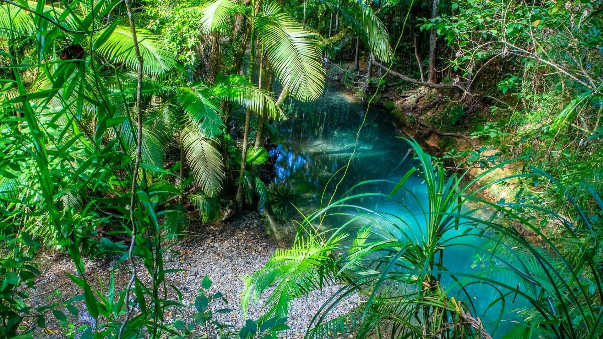 Heritage Lodge - In The Daintree