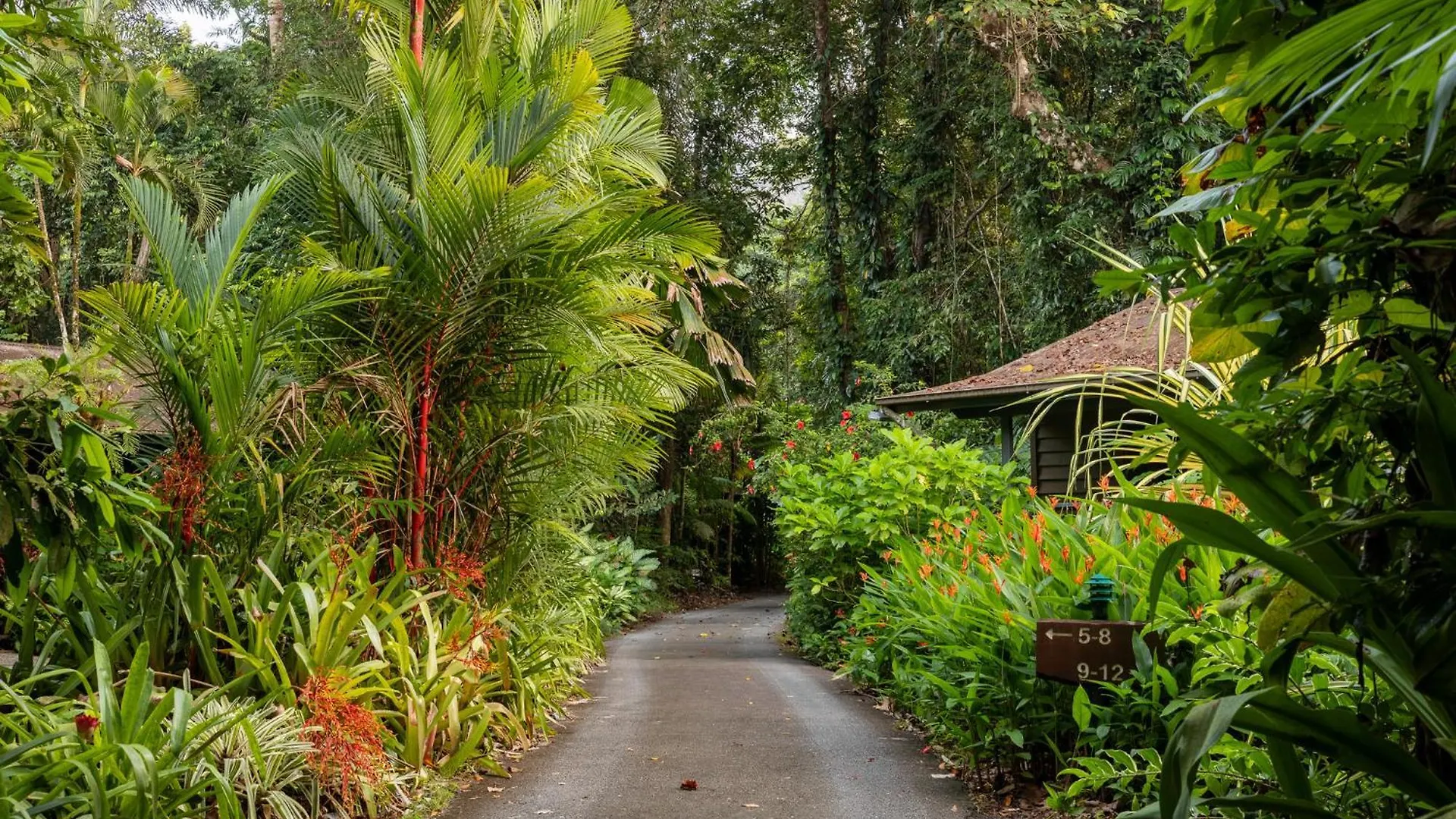 Heritage Lodge - In The Daintree