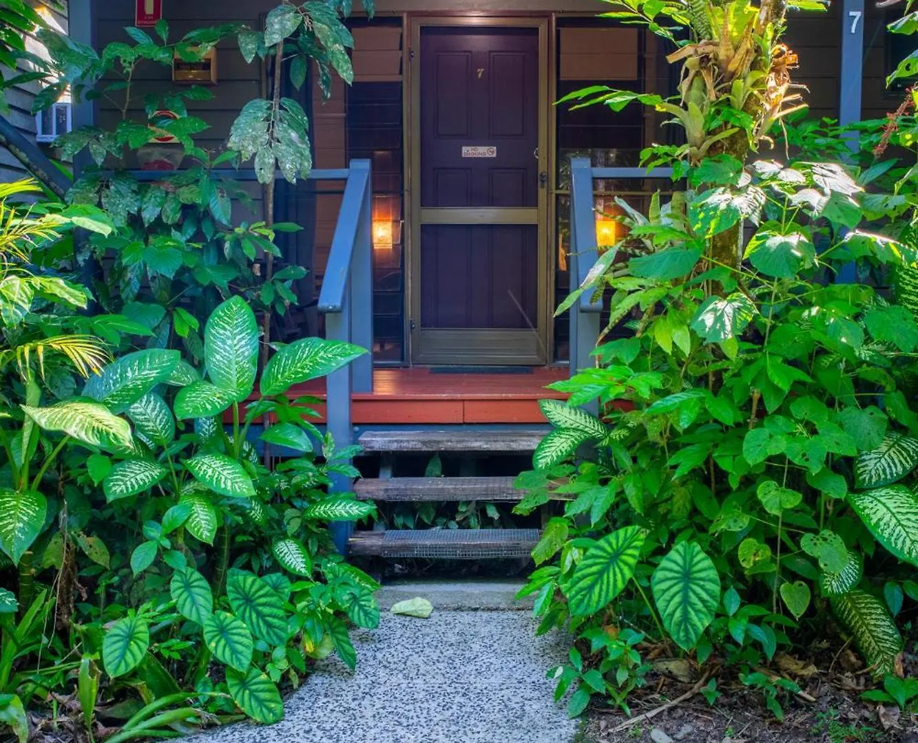 Heritage Lodge - In The Daintree Australia