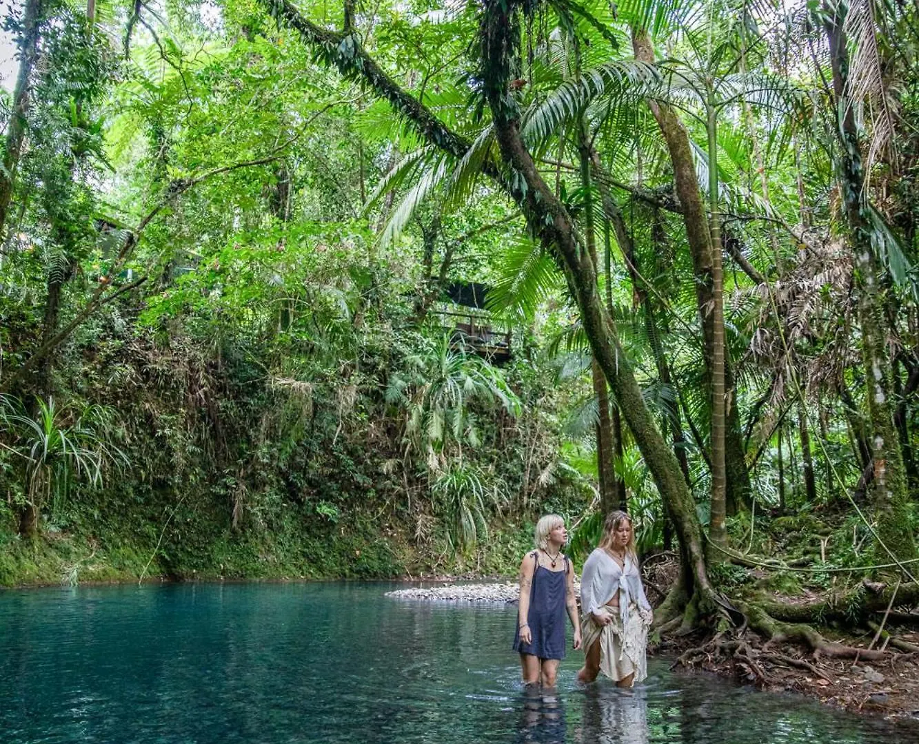 Heritage Lodge - In The Daintree 0*,  Australia