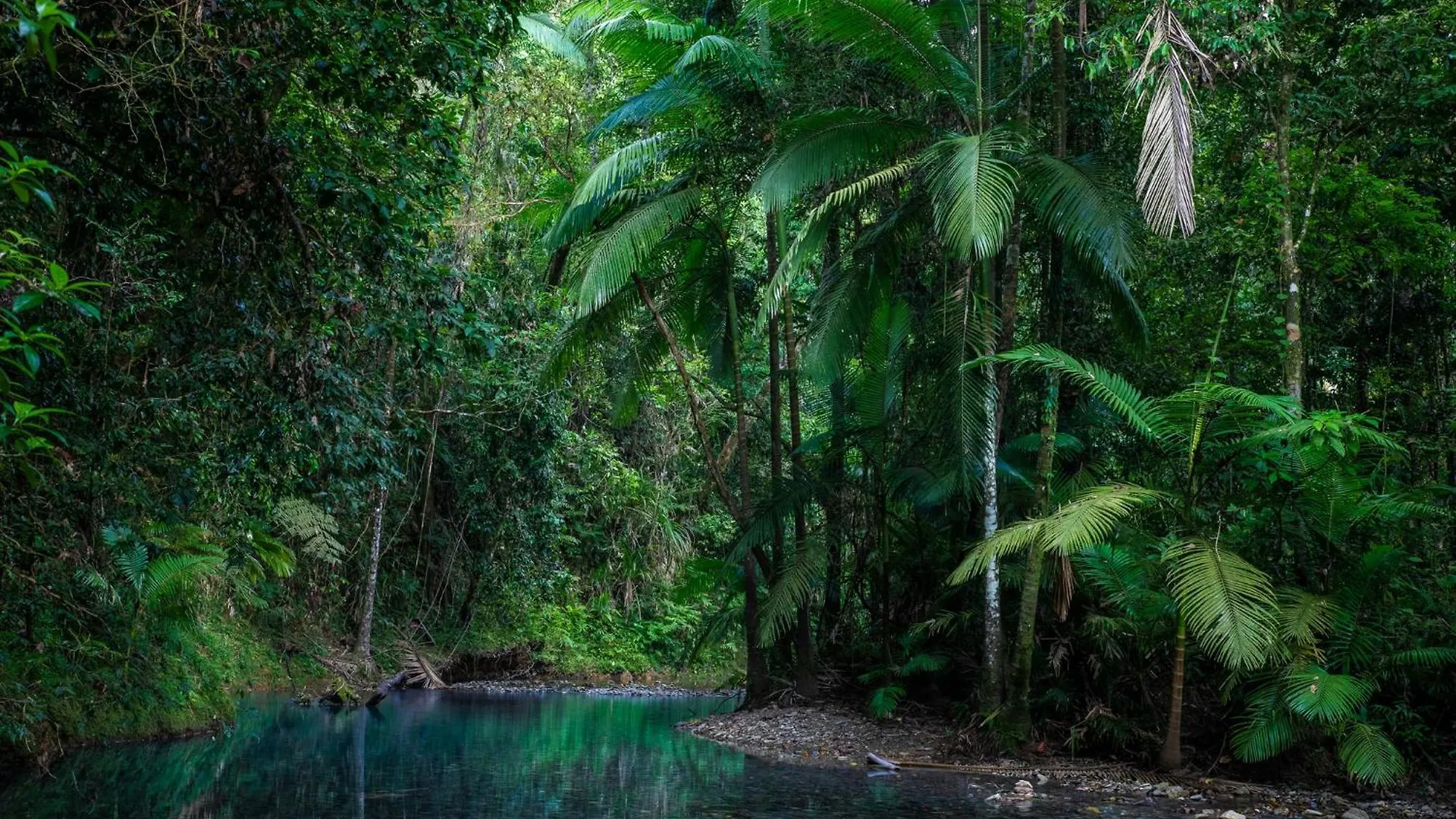 Heritage Lodge - In The Daintree Australia