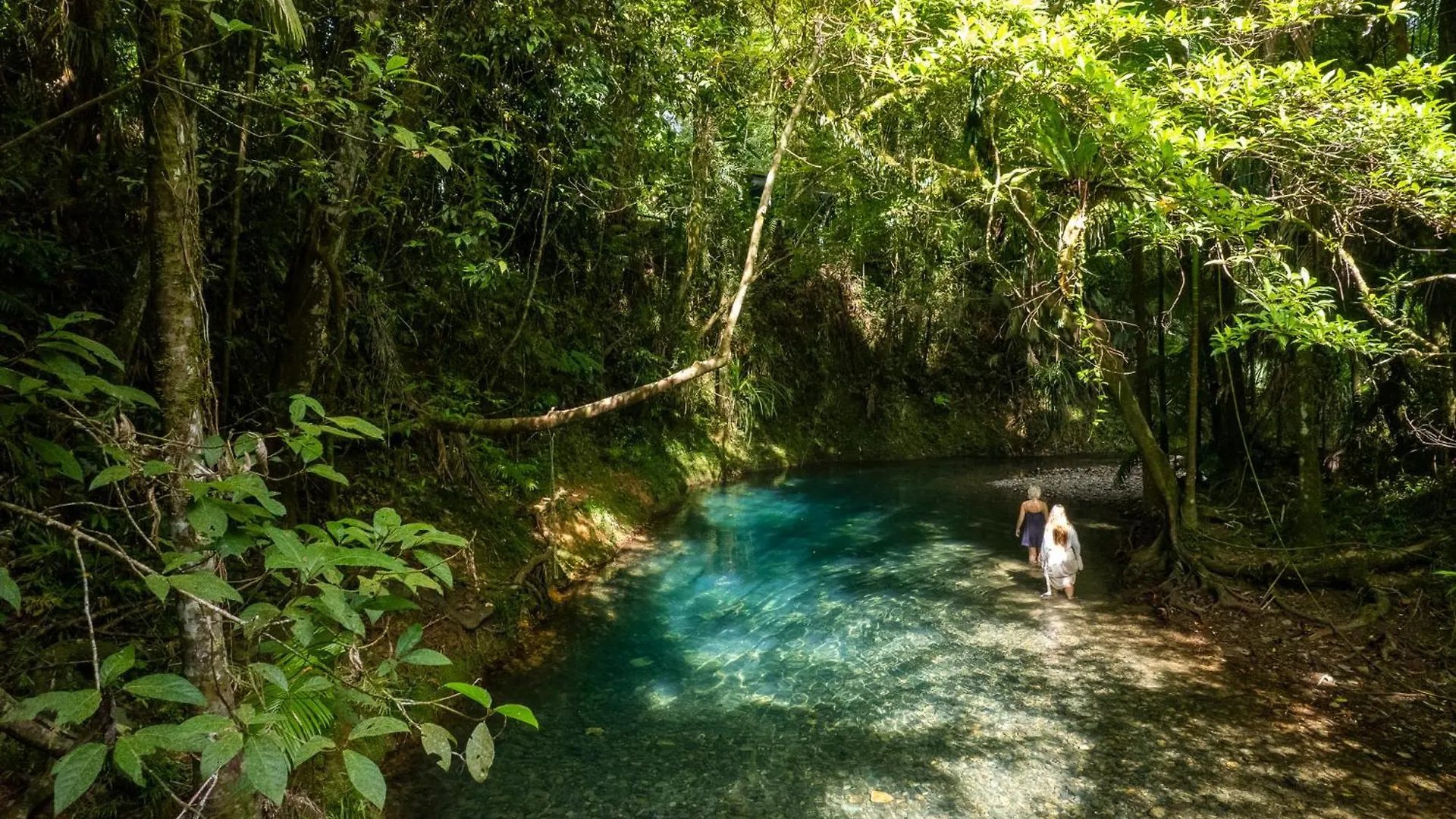 Heritage Lodge - In The Daintree Australia