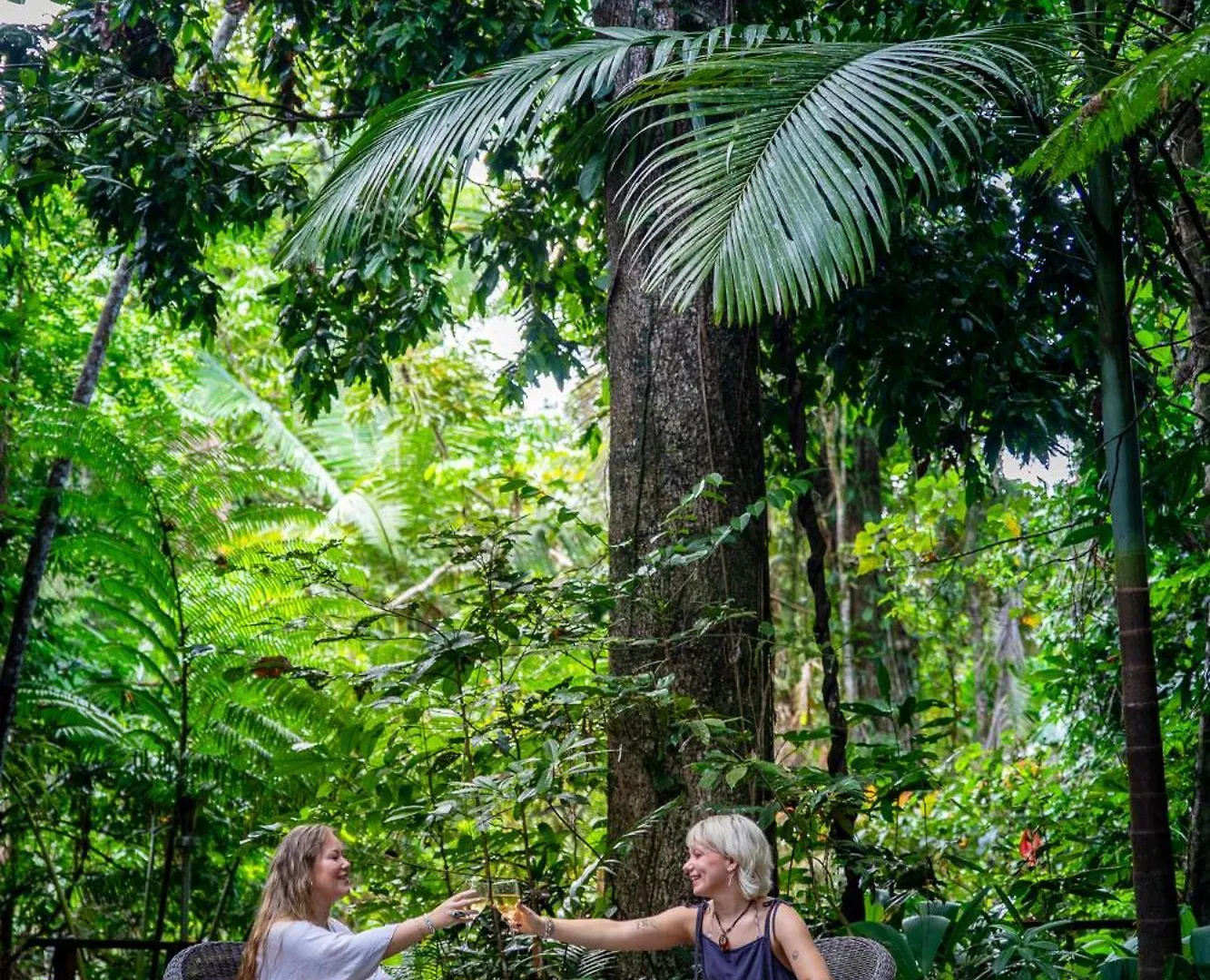 Heritage Lodge - In The Daintree Australia