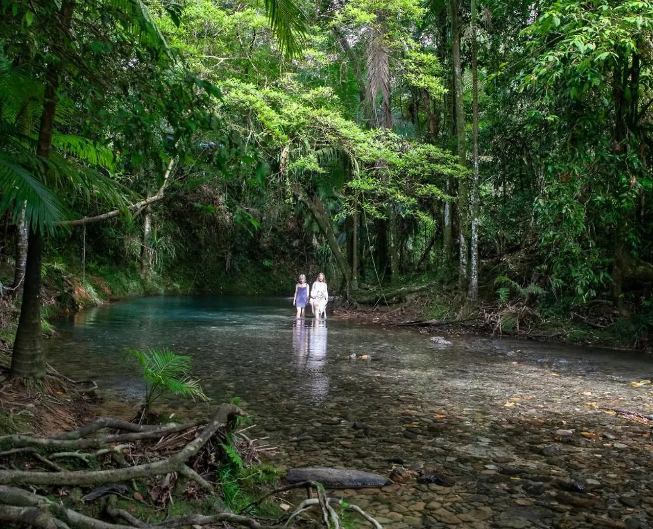 Heritage Lodge - In The Daintree