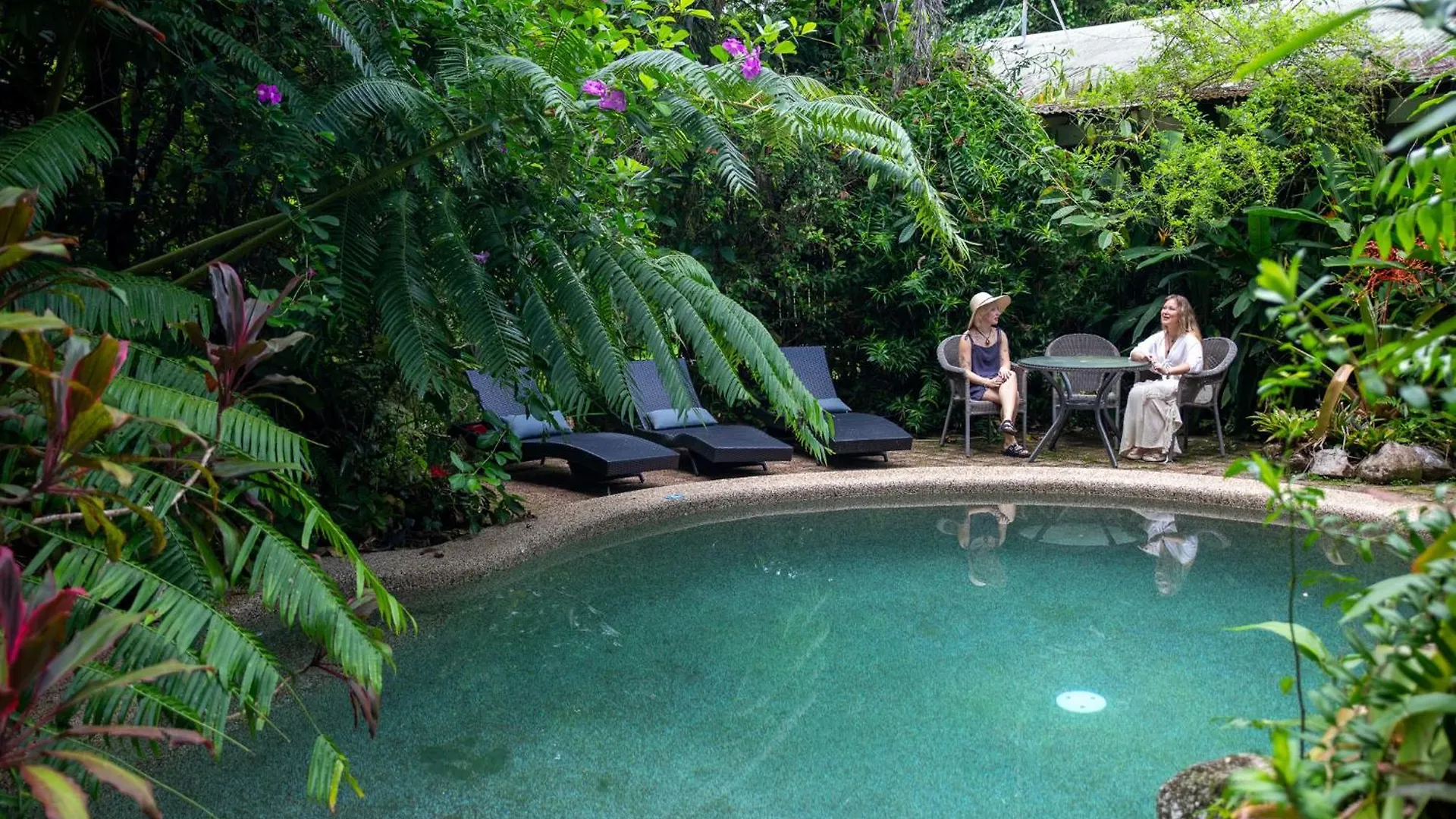 Heritage Lodge - In The Daintree