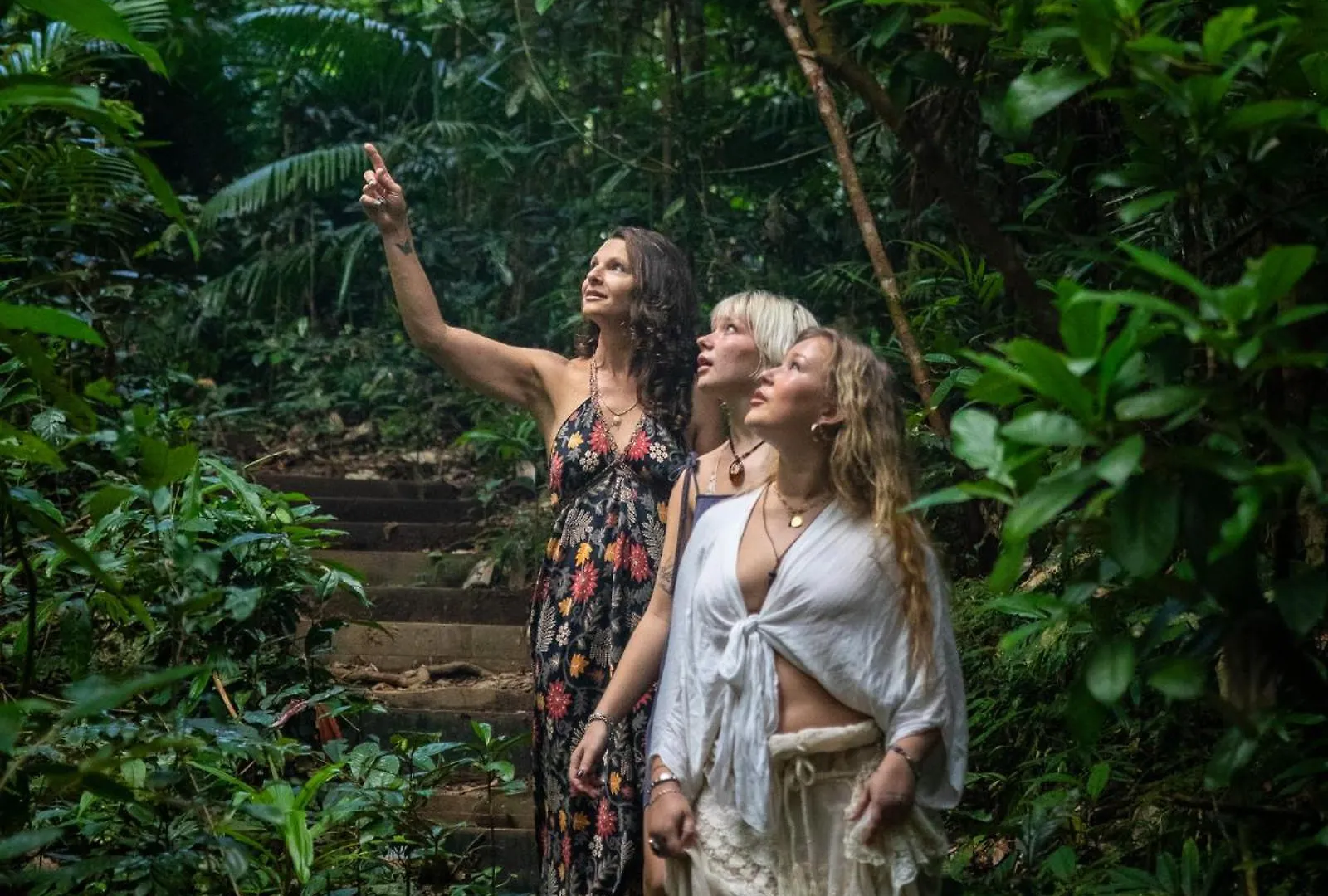 Heritage Lodge - In The Daintree