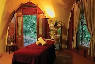 Heritage Lodge - In The Daintree