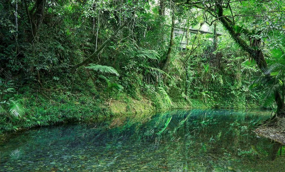 Heritage Lodge - In The Daintree