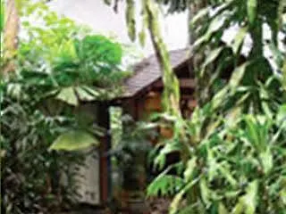 Heritage Lodge - In The Daintree