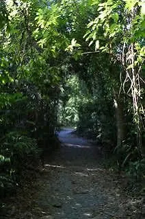 Heritage Lodge - In The Daintree Australia